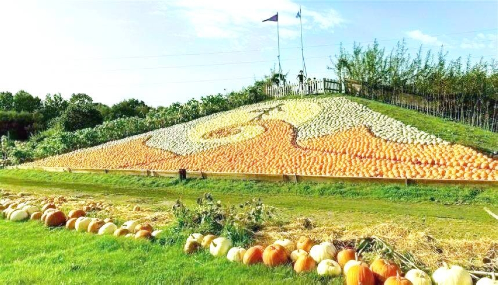 مزرعة تدخل «غينيس» بلوحة من الثمار