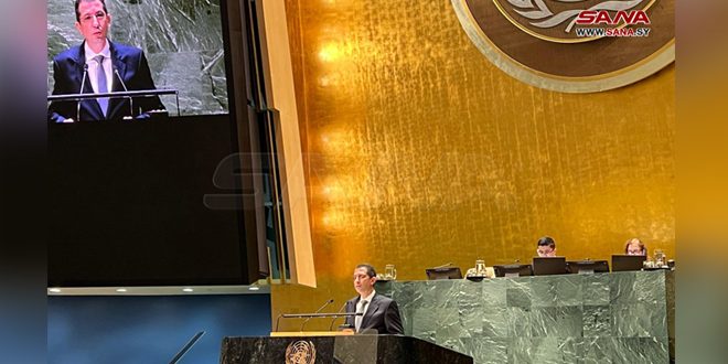 دندي: الولايات المتحدة تعطي (إسرائيل) الضوء الأخضر في قتل أهل غزة وتمنع مجلس الأمن من تحمل مسؤولياته