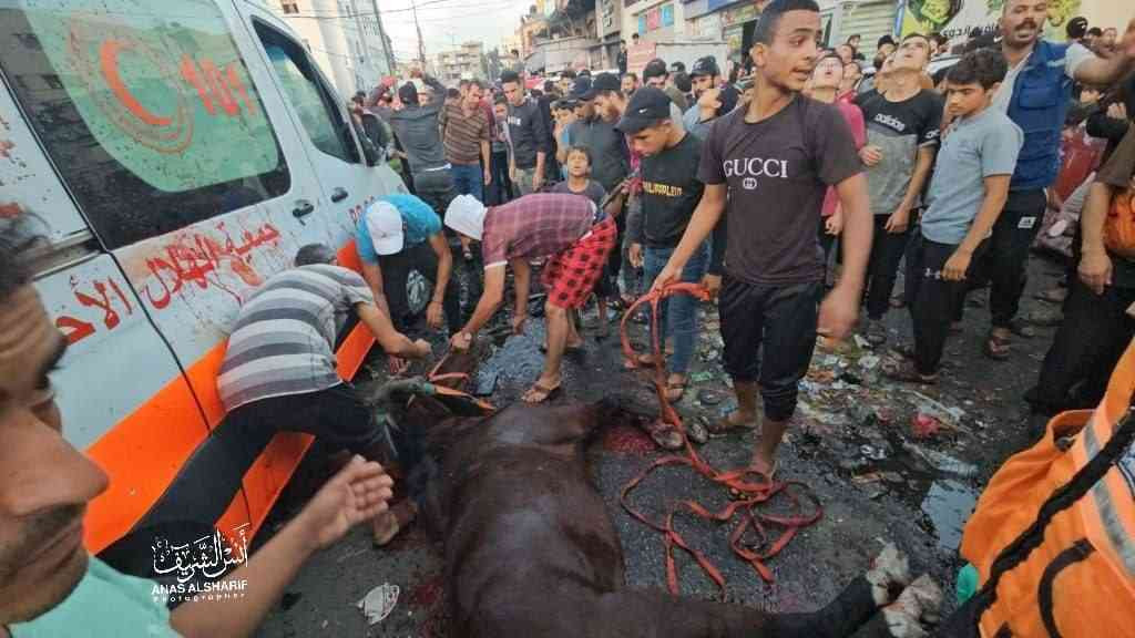 هندوراس تستدعي سفيرها لدى (إسرائيل) احتجاجاً على مجازرها بحق أهالي قطاع غزة