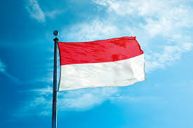 إندونيسيا: المستشفى الإندونيسي في غزة خدمة للفلسطينيين