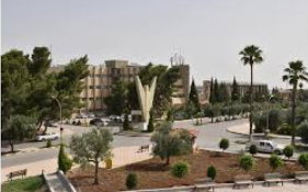 بحث التعاون بين جامعة اليرموك ومشروع رقمنة التراث الثقافي