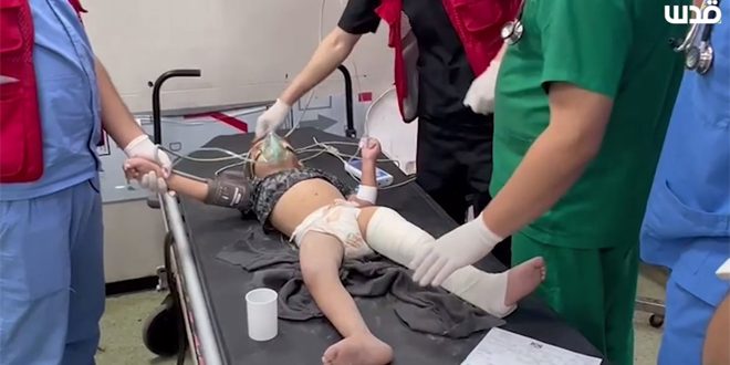 الأونروا: المذبحة التي يرتكبها الاحتلال بحق الفلسطينيين يجب أن تتوقف