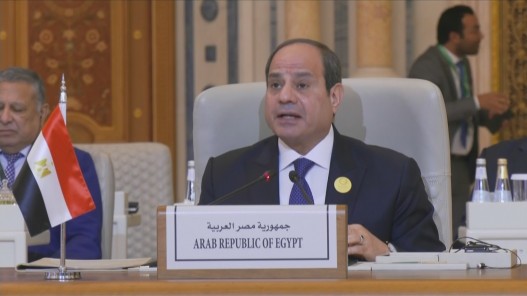 الرئيس المصري يطالب بإجراء تحقيق دولي بما ارتكبه الاحتلال الإسرائيلي في غزة