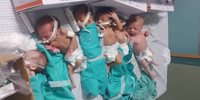 الصحة الفلسطينية: مجمع الشفاء في دائرة الموت والمؤسسات الأممية لا تستجيب لنداءاتنا