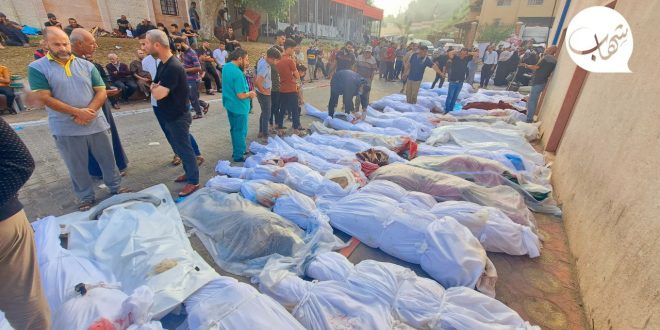 مئات المحامين في العالم يتطوعون لرفع دعوى ضد الكيان الإسرائيلي ومجازره بحق الشعب الفلسطيني