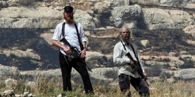 مستوطنون يهجرون ثلاث عائلات فلسطينية من بلدة تقوع