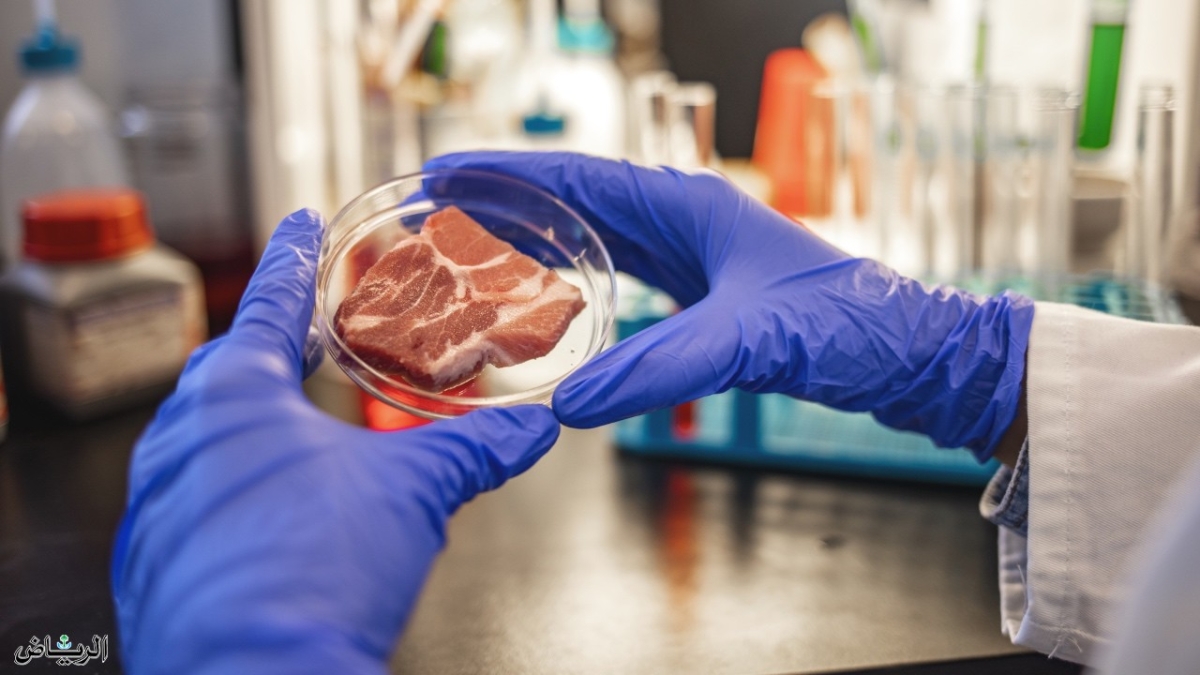إيطاليا تحظر إنتاج اللحوم المصنوعة مخبرياً