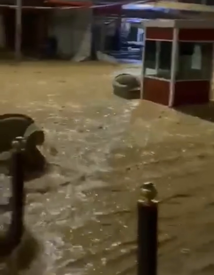 بالفيديو ...انجراف الحجارة  و الأتربة  بسبب الأمطار الغزيرة في الشوبك