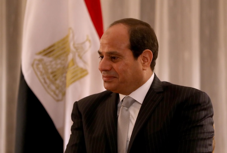 السيسي : التفاعل الدولي مع الحرب في الأراضي الفلسطينية يجسد الانتقائية