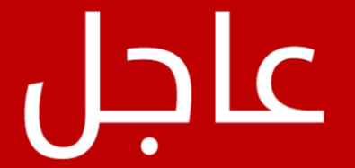 عاجل...وزير خارجية البرتغال: يجب أن نعمل على تطبيق حل الدولتين لإنهاء الصراع في المنطقة