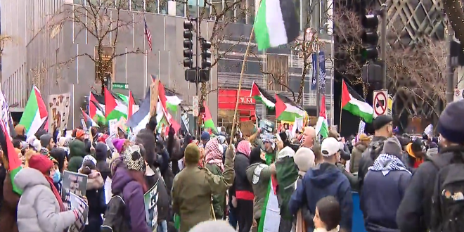 تواصل المظاهرات في المدن الأمريكية تنديداً بالعدوان على قطاع غزة