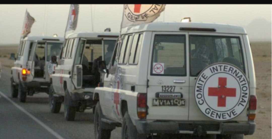 روسيا ترحب بالإفراج عن شخص يحمل جنسيتها في غزة