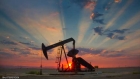 النفط يرتفع مع ضعف الدولار وآمال مواصلة أوبك+ خفض الإنتاج