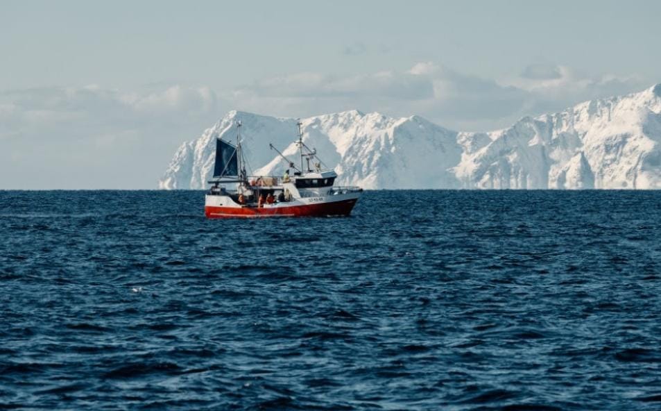 المجلس النرويجي للمأكولات البحرية يجري استطلاعًا جديدًا يحدد العوامل الرئيسية المؤثرة على استهلاك المأكولات البحرية في المملكة العربية السعودية