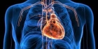 خمس خطوات بسيطة للحفاظ على صحة القلب ...الذبحة الصدرية