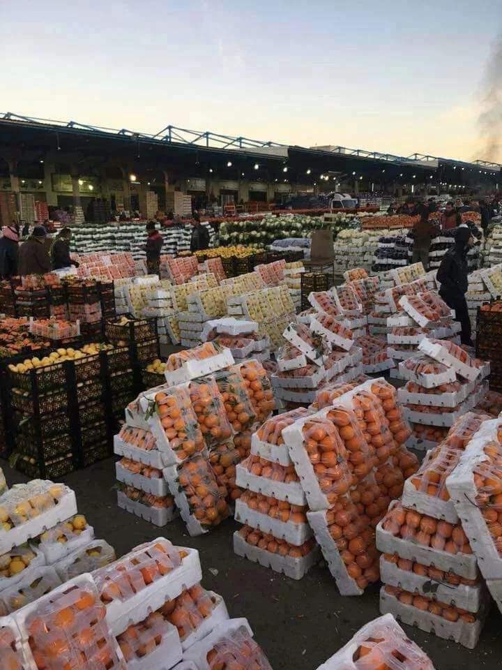 2981 طنا من الخضار واردات السوق المركزي اليوم