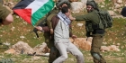 قوات الاحتلال ومستوطنوه يستولون على مساحات من الأراضي الفلسطينية في بيت لحم