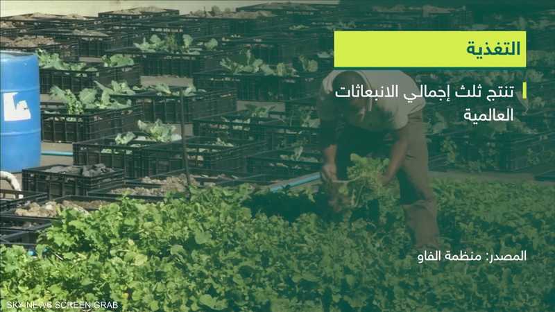 كيف تؤثر النظم الغذائية والزراعية على التغيرات المناخية؟