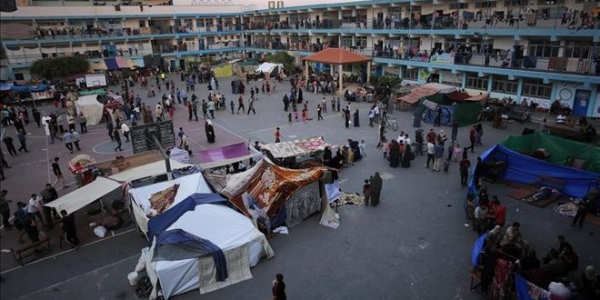 وزيرة الصحة الفلسطينية: الحالة الوبائية في مراكز الإيواء بقطاع غزة وصلت إلى إحصائيات كارثية