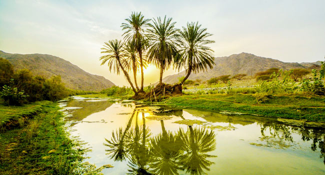 وادي قنونا في السعودية  .. متعة السياحة في الشتاء..صور