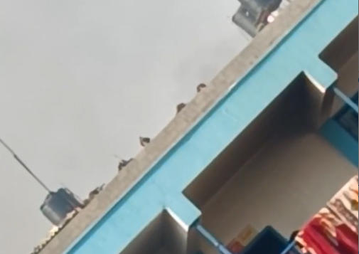 قوات الاحتلال تحاصر مدرسة تؤوي آلاف النازحين ببيت لاهيا