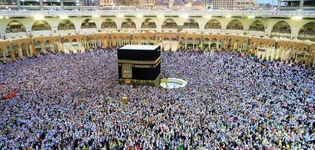 بدء التسجيل للراغبين بأداء الحج لموسم 2024 إلكترونيا (رابط)