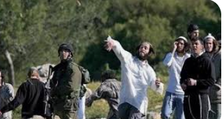 مستوطنون متطرفون يهاجمون المزارعين الفلسطينيين في نابلس