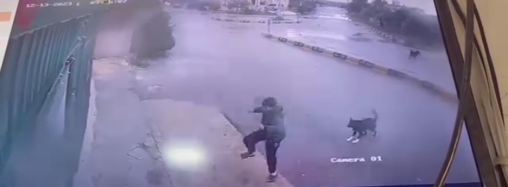 بالفيديو ..طفلًا يقطن بلدة حور باربد  ينجو من كلب ضال