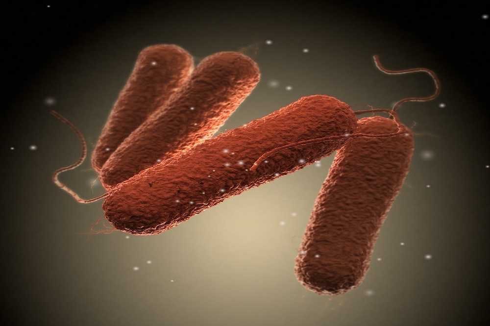 أمريكا.. سحب منتجات من الأسواق بسبب عدوى السالمونيلا