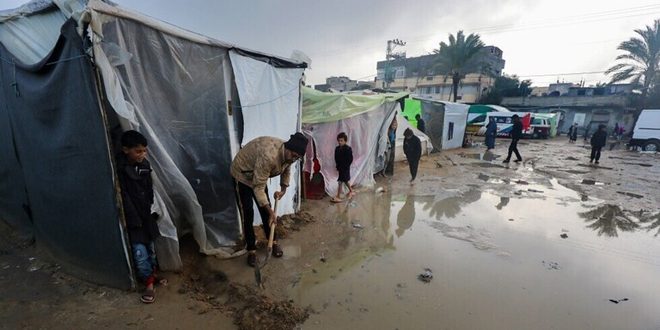 الأمم المتحدة: غزة مهددة بالأوبئة والمجاعة ويعيش أطفالها واقعاً وحشياً