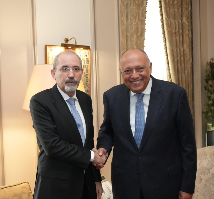 الأردن ومصر يشددان على ضرورة وقف إطلاق النار في غزة
