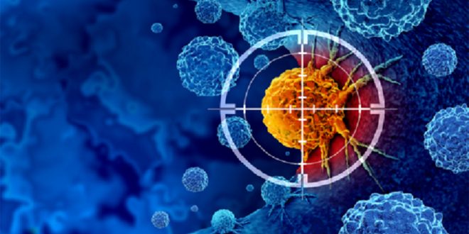 دراسة أمريكية تكشف طريقة جديدة لتدمير الخلايا السرطانية