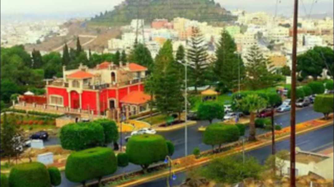 العقيل: أبها وخميس مشيط الأقل حرارة في الموسم الحالي بـ3 درجات