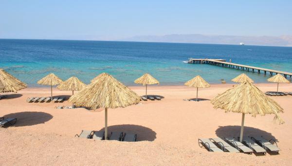 استخراج قوارير مشروبات وأكياس بكميات كبيرة من جوف بحر العقبة