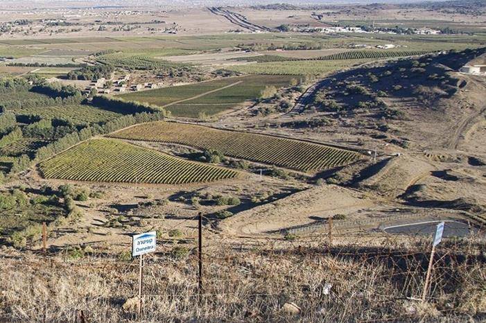 صفارات الإنذار تدوي في جنوب الجولان السوري المحتل