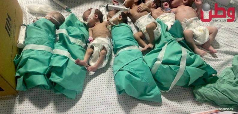 جيش الاحتلال يسرق الأطفال الرضع في غزة