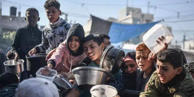 تشاد ورواندا والكونغو ينفون وجود محادثات لاستقبال مهجري غزة