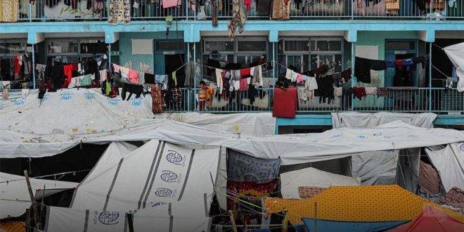 142 من موظفي الأونروا ضحايا العدوان الإسرائيلي على قطاع غزة