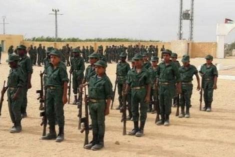 مصير ميليشيات البوليساريو