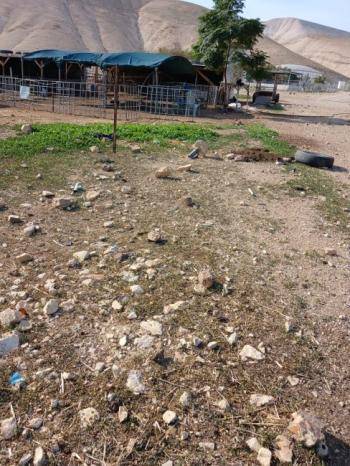 مستوطنون يعتدون على أراضي المواطنين في منطقة عرب المليحات غرب أريحا