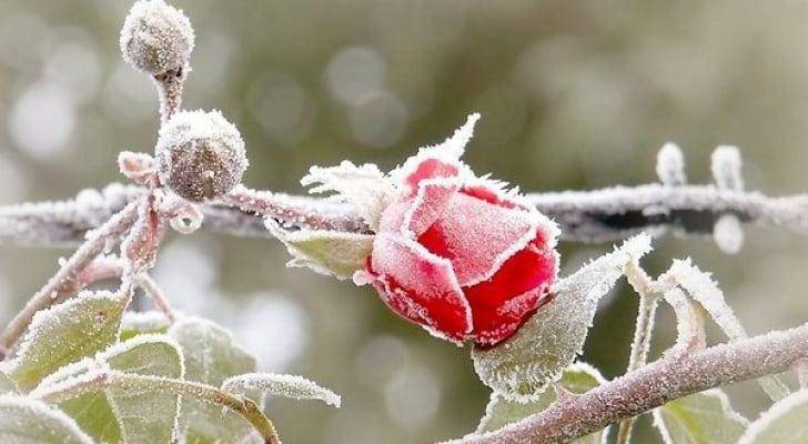 تفاصيل الحالة الجوية يوم الاربعاء والارصاد تُحذر من الصقيع