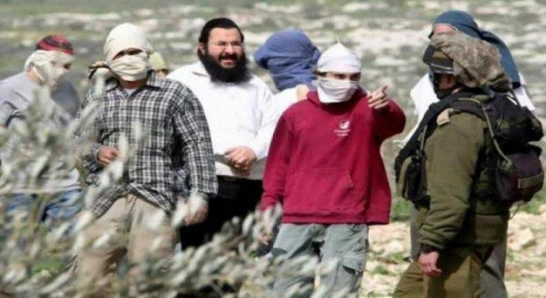 مستوطنون يعتدون بالضرب على مسنه جنوب الخليل ويسرقون خرافها