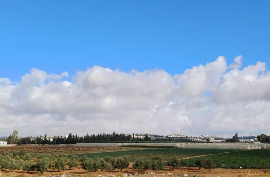 أجواء لطيفة  في أغلب المناطق حتى الاثنين وانخفاض ملموس الثلاثاء