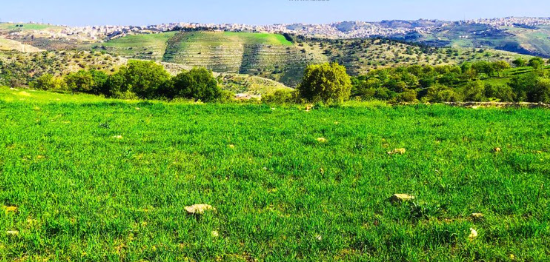 أجواء لطيفة في أغلب المناطق حتى الاثنين