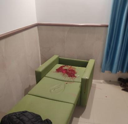 جريمة الاحتلال الجديدة في جنين امتداداً لحرب الإبادة التي يشنها في قطاع غزة