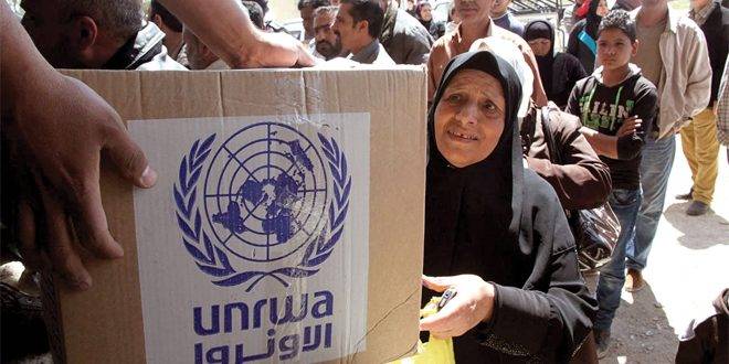 منظمة أكشن إيد الدولية: قطع التمويل عن الأونروا حكم بالإعدام على ملايين الفلسطينيين