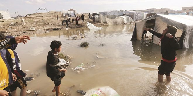 اليونيسيف تجدد الدعوة إلى وقف العدوان الإسرائيلي على قطاع غزة لأسباب إنسانية