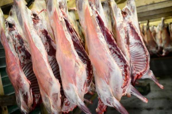 ارتفاع أسعار اللحوم محليا .. والكواليت: قلة العرض واقتراب رمضان