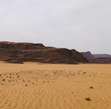 طرح عطاء تطوير نظام إلكتروني لحجز تذاكر رحلات ودخول منطقة رم