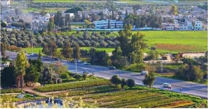 الطرق المؤدية إلى الاغوار تشهد حركة سير نشطة وانتشارًا أمنيا للتدقيق